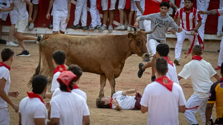 Suelta de vaquillas tras el octavo encierro de San Fermín.Maite  H. Mateo..-03