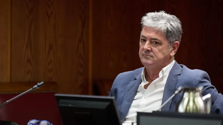 Antxón Alonso, durante su comparecencia en el Senado. EP