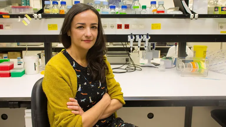 Dra. Maite Huarte, directora de la División de Medicina de ARN y ADN e investigadora principal del Grupo RNA No Codificante y Genoma del Cáncer del Cima Universidad de Navarra. UNIVERSIDAD DE NAVARRA