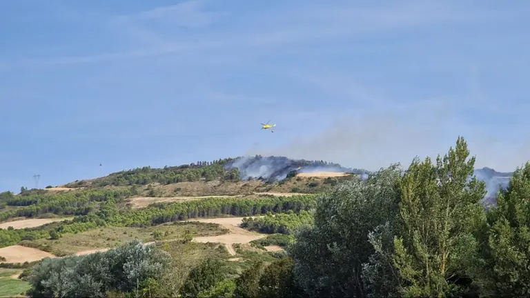 Medios a&eacute;reos trabajando en la extinci&oacute;n del incendio forestal declarado hoy en la zona de Obanos, Muruz&aacute;bal y En&eacute;riz. GOBIERNO DE NAVARRA