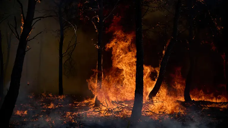 Efectivos de Bomberos, Polic&iacute;a Foral, Guardia Civil, aviones y helic&oacute;pteros trabajan para sofocar el incendio forestal declarado en Carcastillo. PABLO LASAOSA