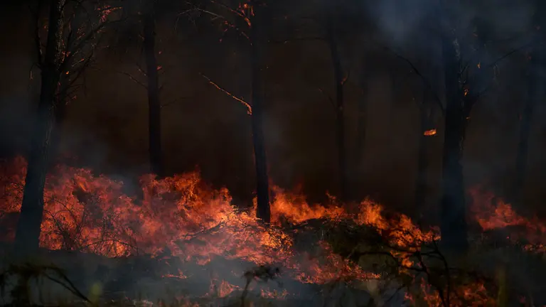 Efectivos de Bomberos, Polic&iacute;a Foral, Guardia Civil, aviones y helic&oacute;pteros trabajan para sofocar el incendio forestal declarado en Carcastillo. PABLO LASAOSA