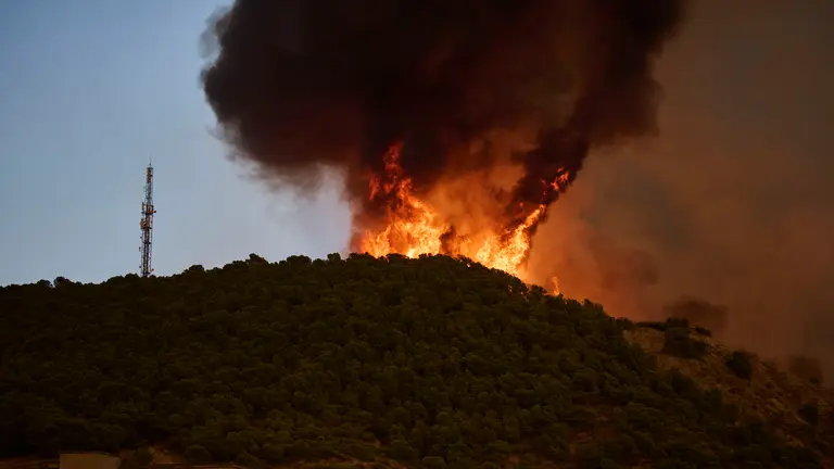 Efectivos de Bomberos, Polic&iacute;a Foral, Guardia Civil, aviones y helic&oacute;pteros trabajan para sofocar el incendio forestal declarado en Carcastillo. PABLO LASAOSA