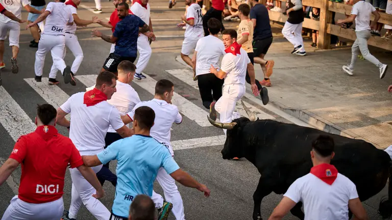 Segundo encierro de las fiestas de Tafalla 2025 con toros de la ganadería de Palha. PABLO LASAOSA
