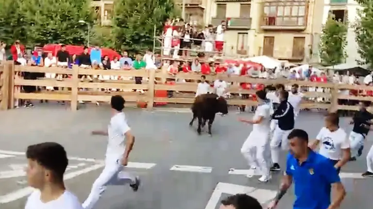 Quinto encierro de las fiestas de Tafalla de 2025. NAVARRA.COM
