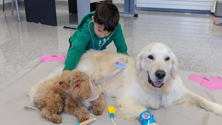 Un paciente pedi&aacute;trico, durante una sesi&oacute;n de perroterapia en la Cl&iacute;nica Universidad de Navarra. CL&Iacute;NICA UNIVERSIDAD DE NAVARRA