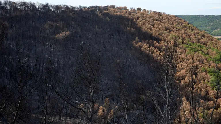 Una zona calcinada en Carcastillo. UNAI BEROIZ/GOBIERNO DE NAVARRA