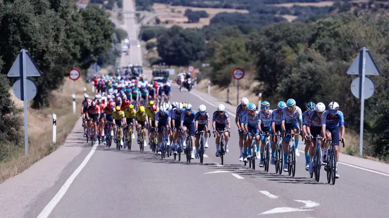 El pelot&oacute;n durante la octava etapa de la Vuelta a Espa&ntilde;a, este s&aacute;bado entre Monz&oacute;n (Huesca) y Zaragoza, en un recorrido de 163,5 kil&oacute;metros. EFE/Javier Liz&oacute;n