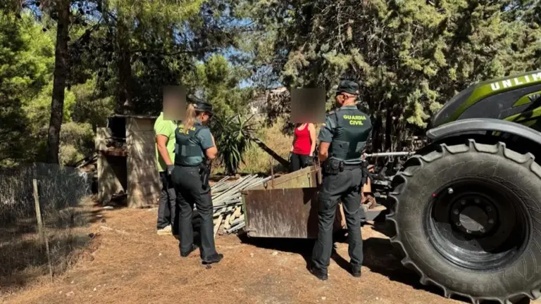 La Guardia Civil investiga a un joven de 22 a&ntilde;os por robar 700 postes de vi&ntilde;a y da&ntilde;os en un finca agr&iacute;cola de Arr&oacute;niz.
- GUARDIA CIVIL