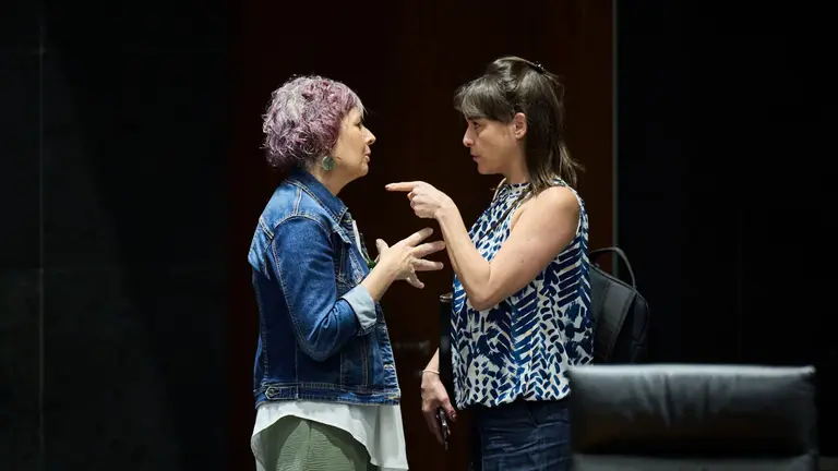 La consejera de Cultura, Rebeca Esnaola, junto con la consejera de Vivienda, Bego&ntilde;a Alfaro, durante el Pleno del Parlamento. PABLO LASAOSA
