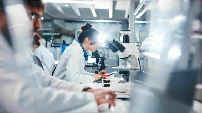 Investigadores observando muestras microsc&oacute;picas en el laboratorio. Shutterstock / PeopleImages