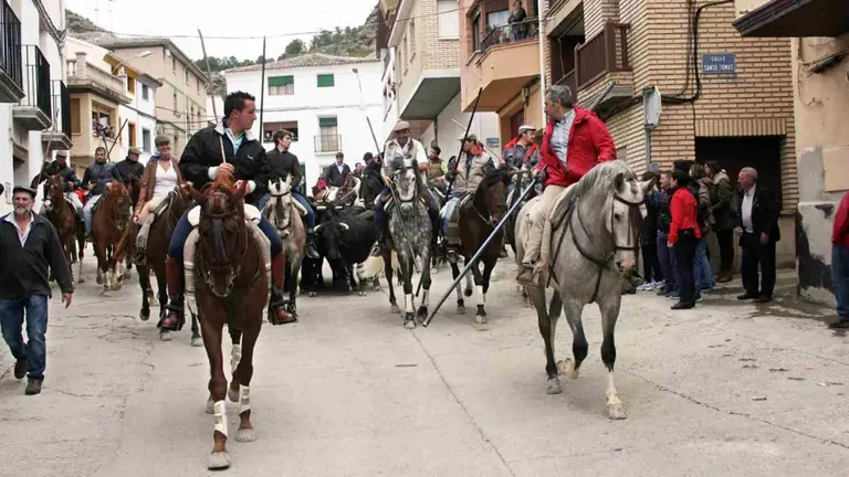 D&iacute;a de la Trashumancia de Arguedas. TURISMO DE NAVARRA