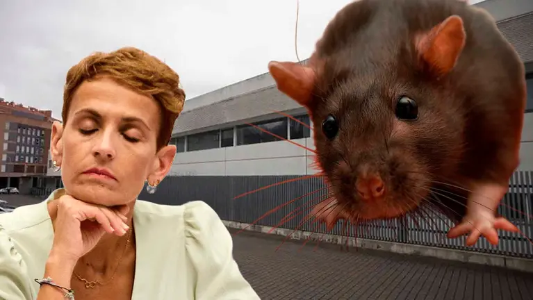 Fotomontaje con una imagen de la presidenta de Navarra, Mar&iacute;a Chivite, y una rata sobre una vista del centro San Jos&eacute;. NAVARRA.COM