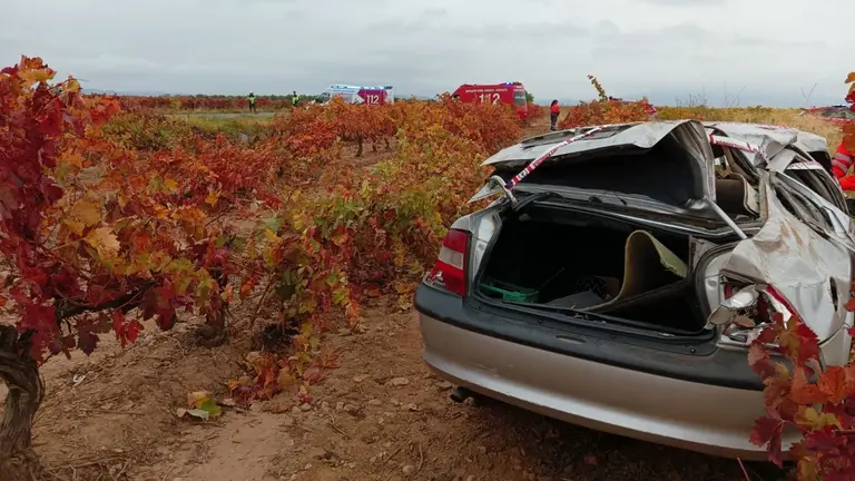 Una mujer herida al salirse de la v&iacute;a y volcar en Cintru&eacute;nigo. POLIC&Iacute;A FORAL