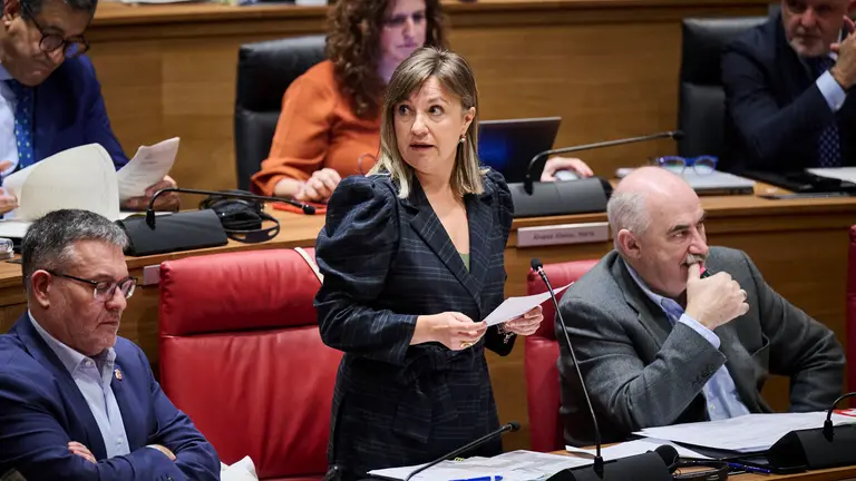 La consejera de Interior, Amparo López, interviene en el pleno del Parlamento de Navarra. PABLO LASAOSA