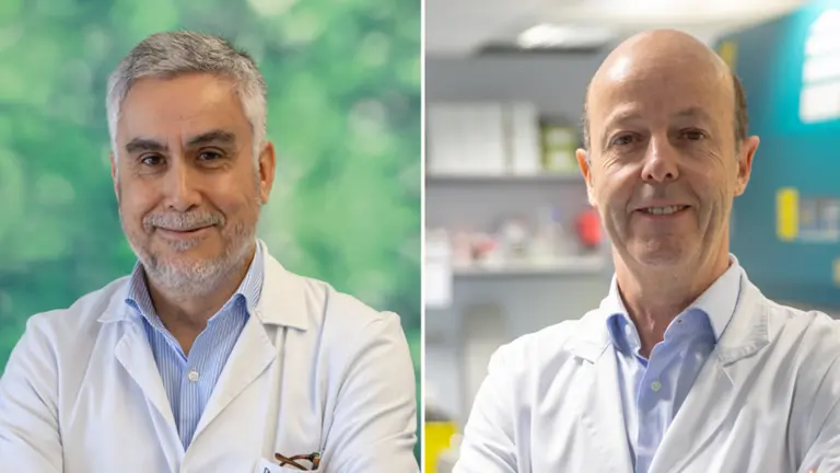 Los doctores Antonio Pineda-Lucena y Felipe Pr&oacute;sper coordinan el proyecto desde el Cima y la Cl&iacute;nica Universidad de Navarra. CEDIDA
