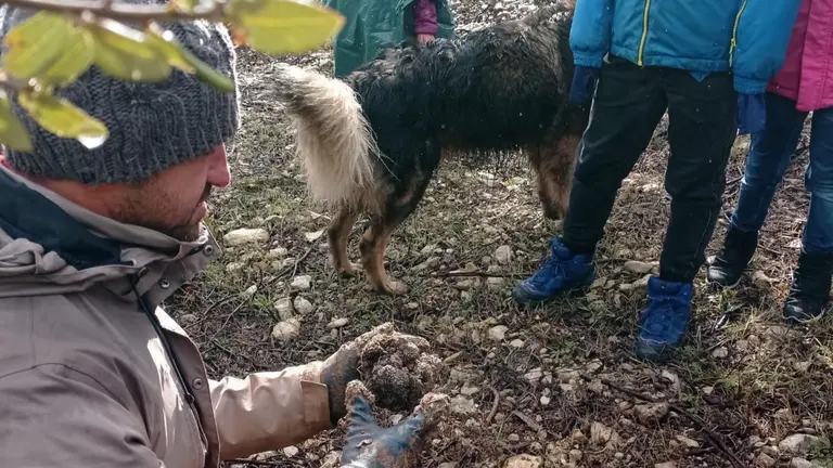 Museo Trufa Metauten. TrufaExperiencia / Turismo Navarra