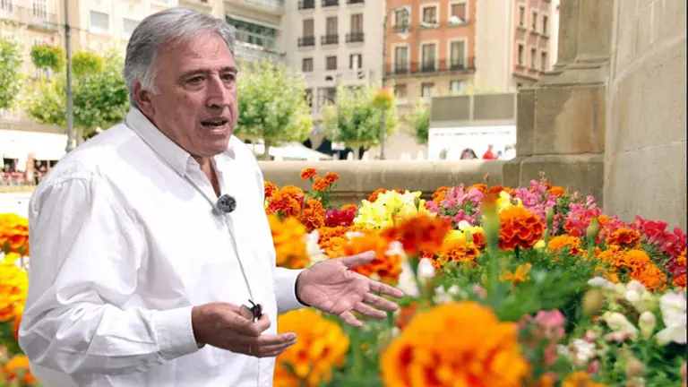 Fotomontaje con el alcalde de Pamplona, Joseba Asirón, sobre una imagen de flores en Pamplona. CEDIDA