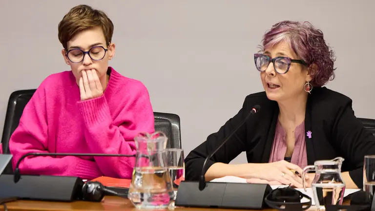 La consejera Rebeca Esnaola comparece en comisi&oacute;n parlamentaria para explicar los expedientes relativos a las licitaciones de las obras en el parque Sendaviva financiadas con fondos p&uacute;blicos del INDAF. NAVARRA.COM