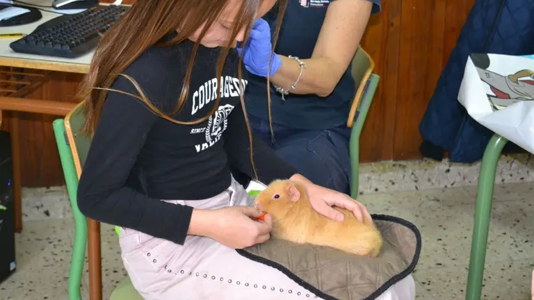 Vacunación escolar con animales. CEDIDA