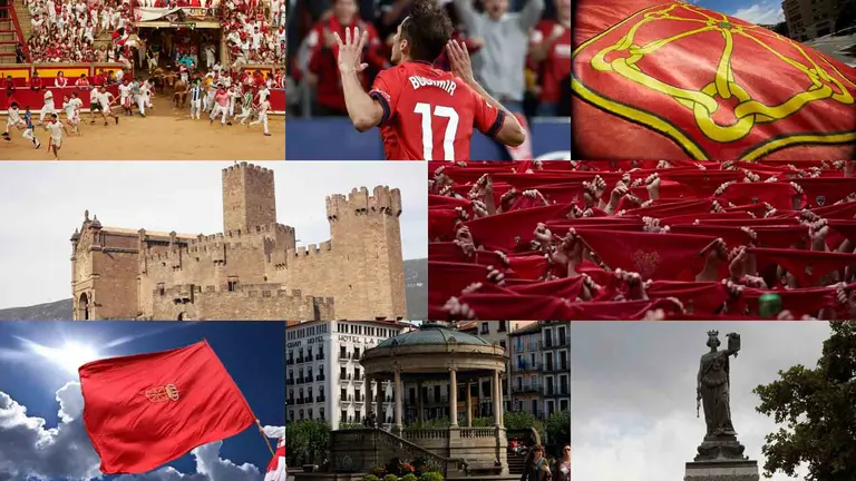 Diferentes im&aacute;genes de Navarra.
