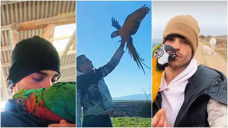 Marcos Moreno con sus aves ex&oacute;ticas. EL CHICO DE LAS AVES / INSTAGRAM