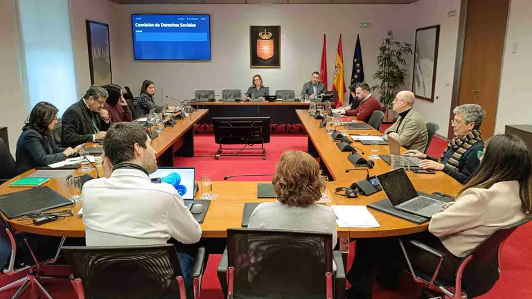 Comisi&oacute;n de Derechos Sociales, Econom&iacute;a Social y Empleo del Parlamento de Navarra.