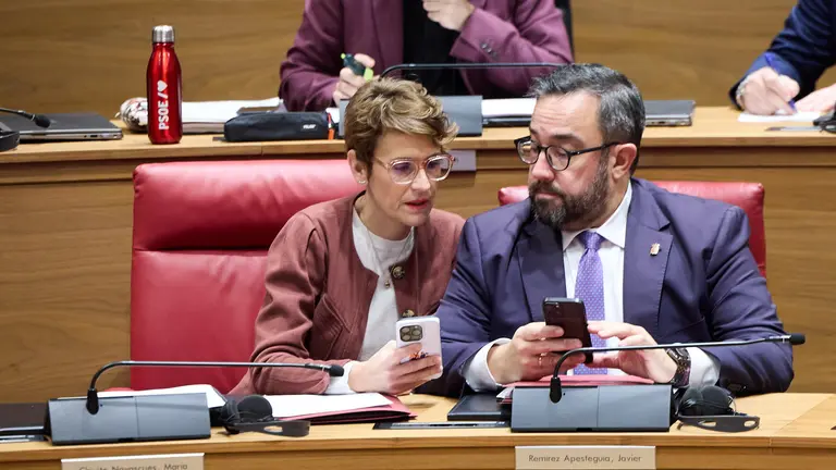 Pleno del Parlamento de Navarra. I&Ntilde;IGO ALZUGARAY