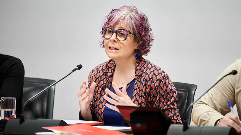 La consejera de Cultura, Deporte y Turismo informa sobre los resultados de la auditor&iacute;a externa encargada por Parquenasa relativos a las adjudicaciones de obra en el parque Sendaviva en 2023. PABLO LASAOSA