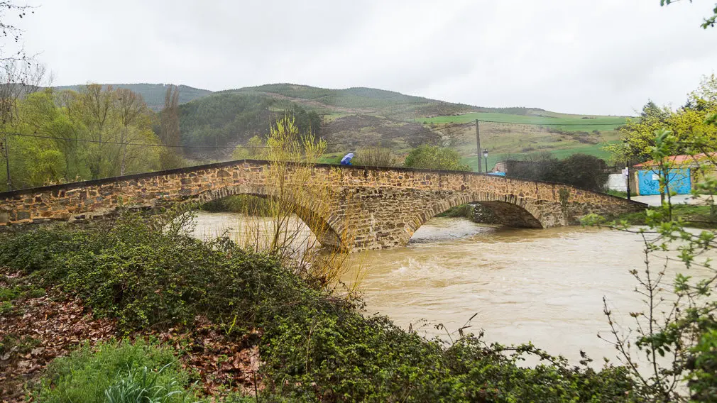 Las espectaculares imágenes que están dejando las crecidas de los ríos en Navarra