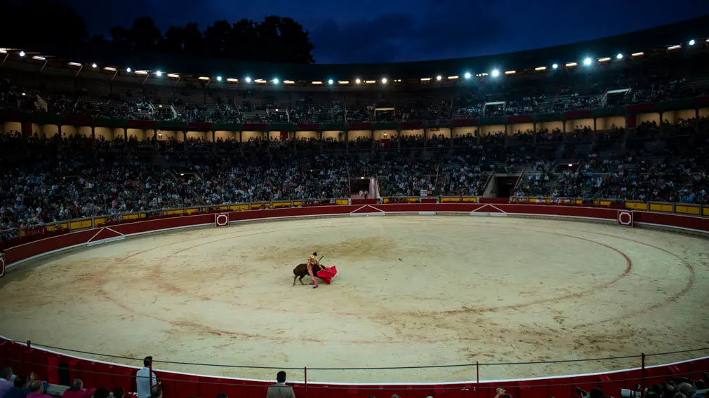 El futuro del toreo en Pamplona: las mejores imágenes de la novillada de Pincha en San Fermín