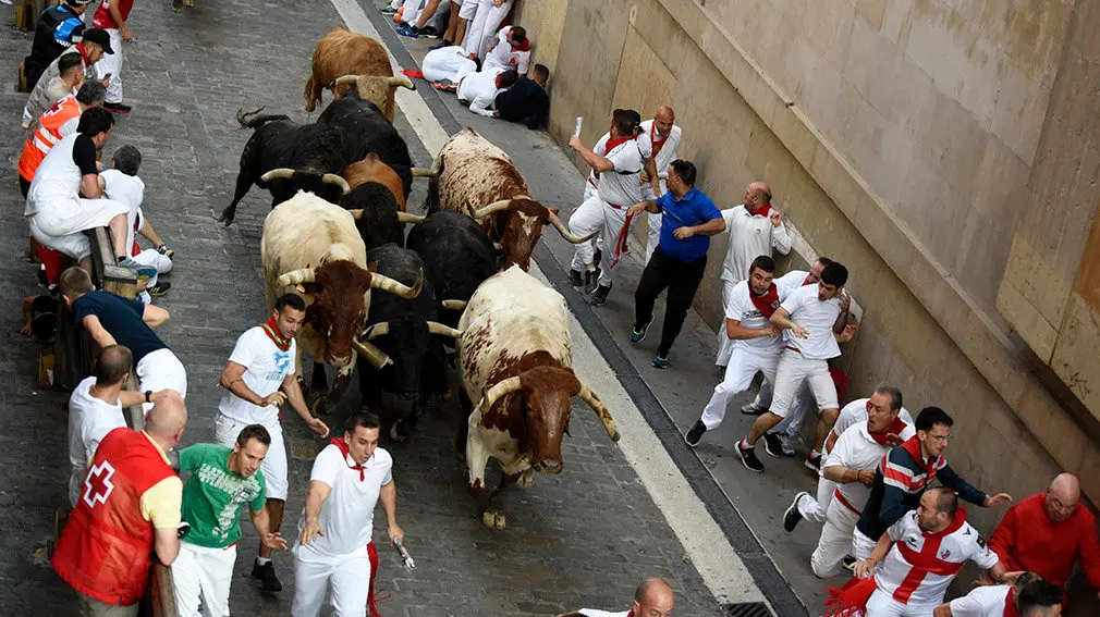 Un encierro de cabestros resta protagonismo a los astados de Fuente Ymbro en Pamplona