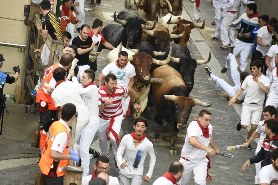 Los 875 metros de Miura en fotos: los séis astados sevillanos se adueñan del último encierro