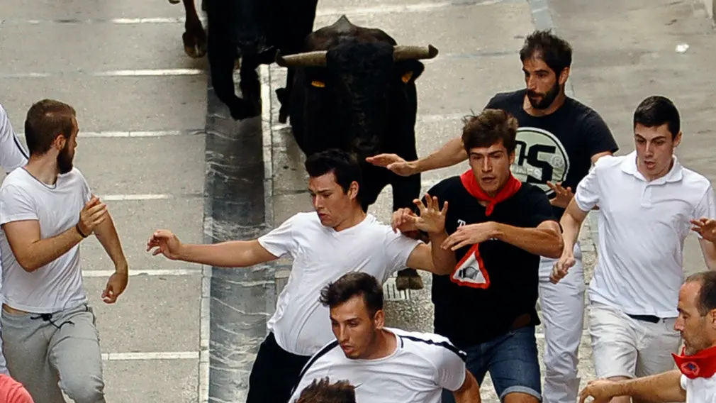 Las mejores imágenes del peligroso primer encierro de novillos en Estella