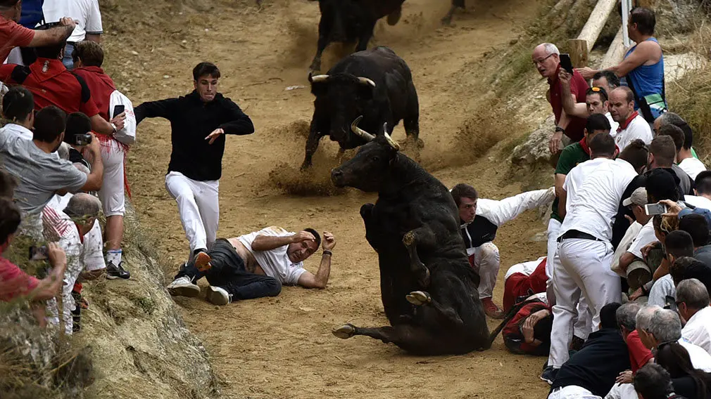 Foto a foto: la secuencia de la vaca que ha arrollado brutalmente a varios mozos en el Pilón de Falces