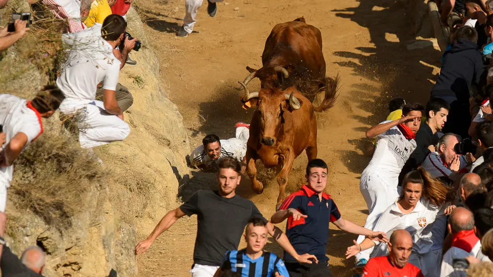 [GALERÍA] Revive las mejores carreras de los mozos en un trepidante sexto Pilón de Falces