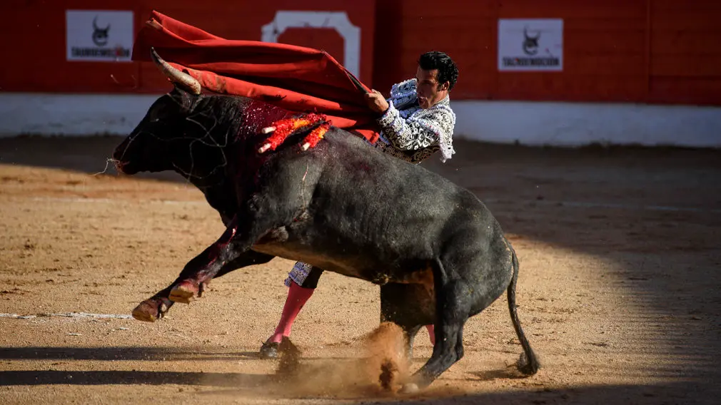 Victorino Martín deja su sello en Corella: la última tarde de toros de la temporada navarra en imágenes