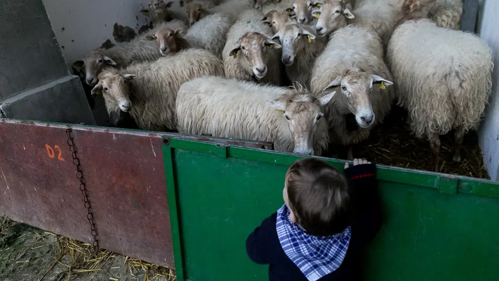 La ilusión de los más pequeños en el desfile de Olentzero por Pamplona: las imágenes de una noche 'encantanda'