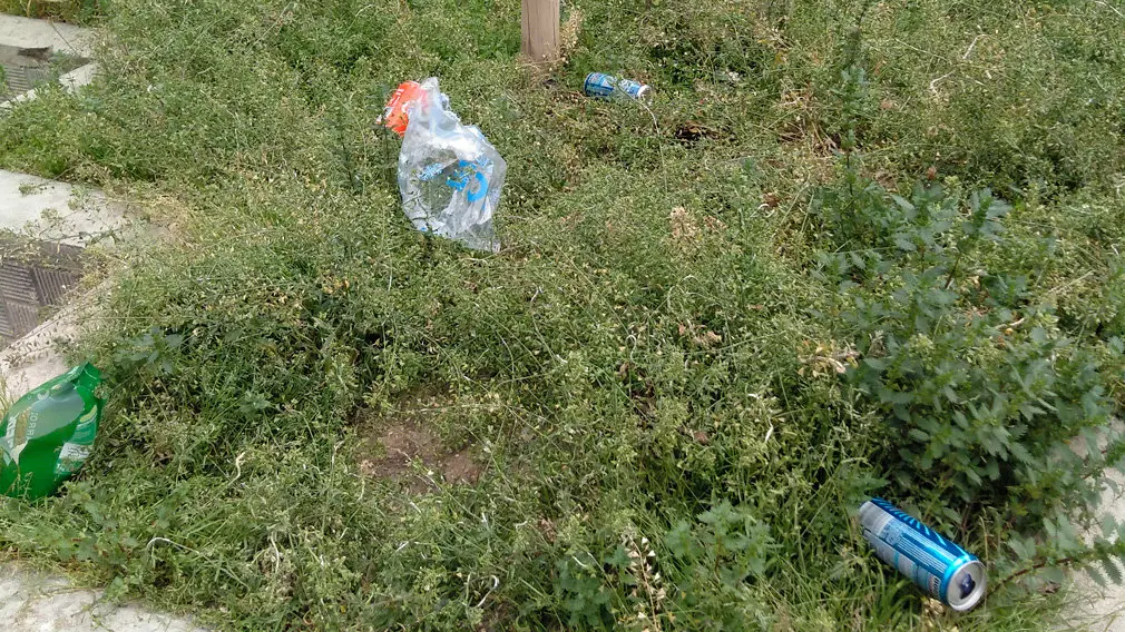 [GALERÍA] Jardines y calles llenos de suciedad: las imágenes de la dejadez de Asirón en el barrio de la Milagrosa