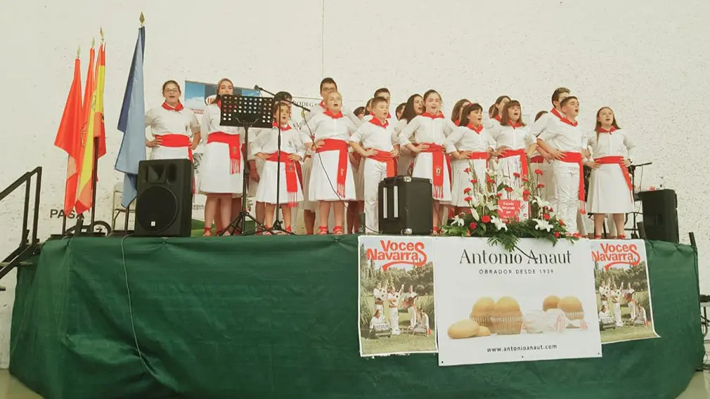 GALERÍA - Un día de jotas en Pitillas