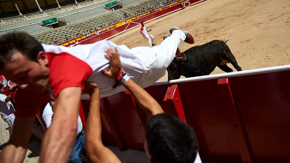 GALERÍA-Las mejores imágenes del concurso de anillas que se ha celebrado en el coso pamplonés