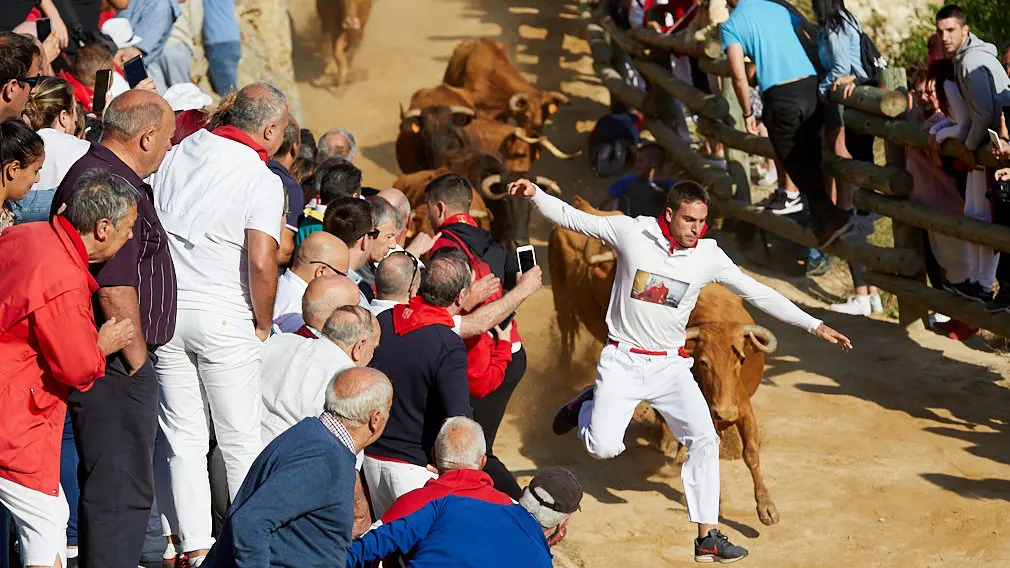 Equilibríos ante la manada: las imágenes de la espectacular bajada de las vacas durante el segundo encierro del Pilón Equilibríos ante la manada: las imágenes de la espectacular bajada de las vacas durante el segundo encierro del Pilón