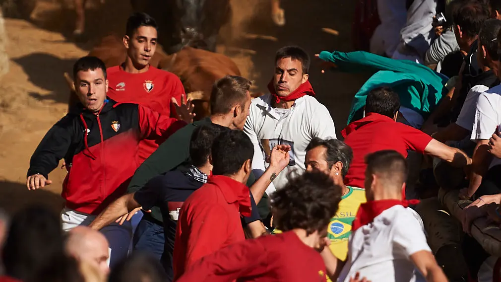 Un Pilón arrollador: las vaquillas 'vuelan' en Falces en un encierro con muchísima afluencia