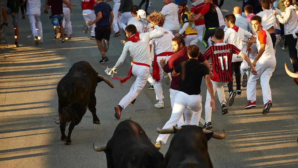 Los toros barren el vallado: los mejores momentos en imágenes del cuarto encierro de las fiestas de Tafalla