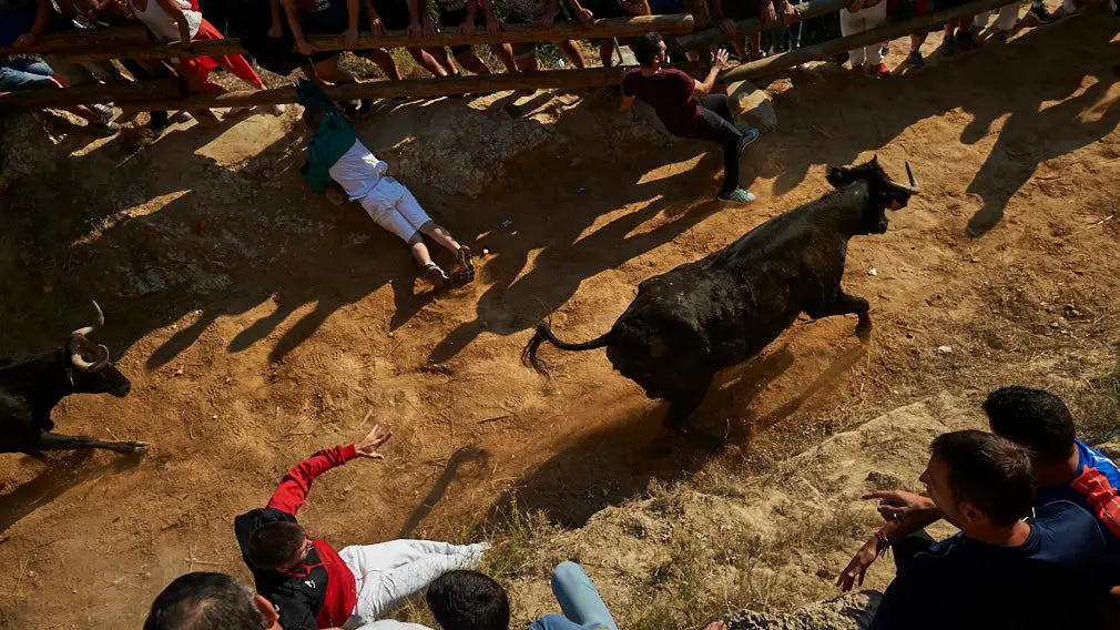 Despedida y cierre: los mejores momentos del último encierro del Pilón de Falces en imágenes