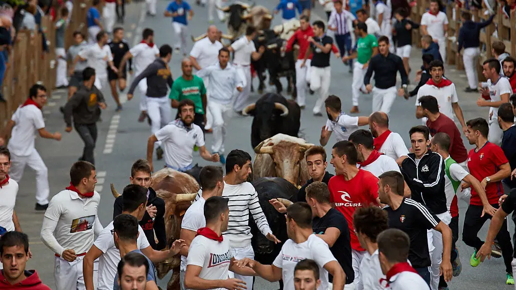 Los mozos se lucen en Tafalla: las mejores imágenes del quinto encierro con la ganadería navarra Macua Los mozos se lucen en Tafalla: las mejores imágenes del quinto encierro con la ganadería navarra Macua