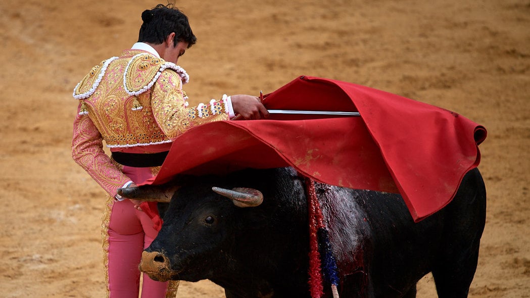 Los toros vuelven a Navarra 600 días después: las fotos de la novillada celebrada en Tudela
