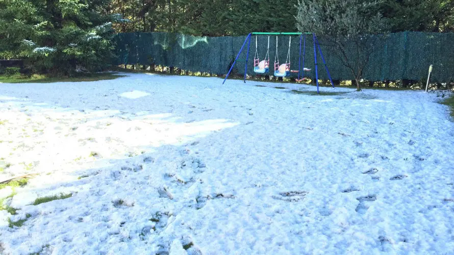 La nieve, en un jardín de Gorráiz.