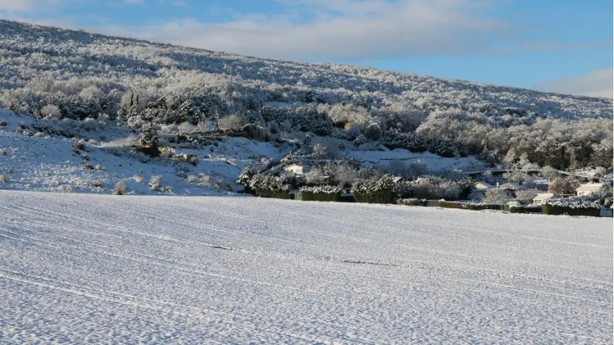 Nieve desde la carretera de Aranguren.