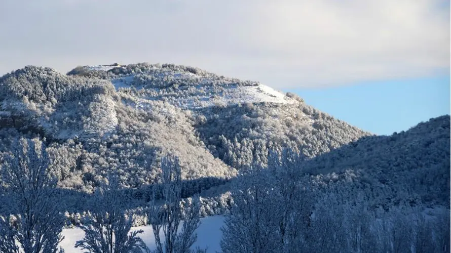 Nieve desde la carretera de Aranguren. 4